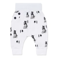 komplet dla chłopca zebra bluzka spodenki czapka 3.jpg